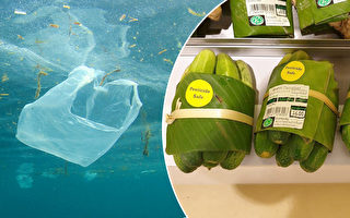 香蕉叶包菜好环保 泰国超市减塑出妙招