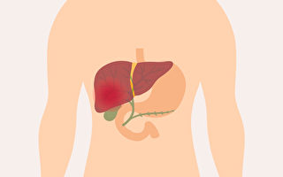 25%的脂肪肝没症状 中医如何治疗脂肪肝？
