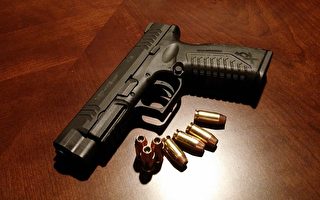 伊州争取立法 要求购枪者提交指纹