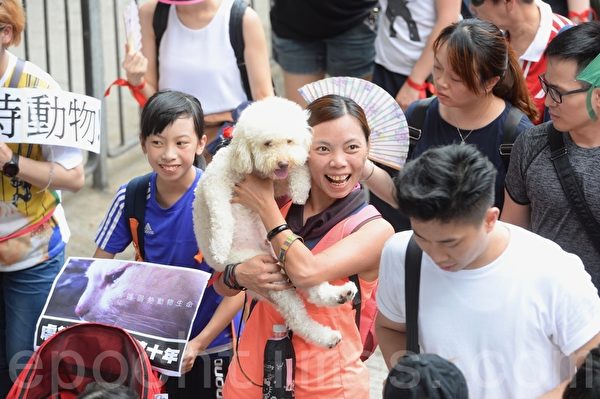 【動物福利法】6000人遊行促立法　鄺俊宇：為動物寫下歷史新一頁