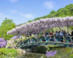 十一长假大陆旅游寒意浓 景区票价不减