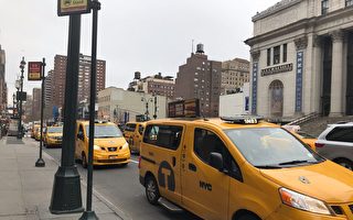 纽约黄色出租车牌照泡沫 市长下令严查