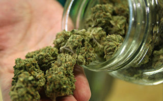 新州扩大医用大麻范围 令人担忧