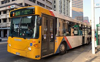 3年流失百万乘客 南澳公交系统拟推新服务