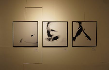 「字遊行草」系列作品，運用魚的游動軌跡，形成「心、上、人」3幅如同行草揮毫下字畫傑作。