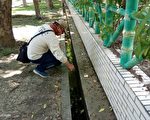 高雄登革熱防疫補助 疾管署盼高雄妥善運用