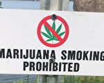 想要小孩？醫生：別吸大麻