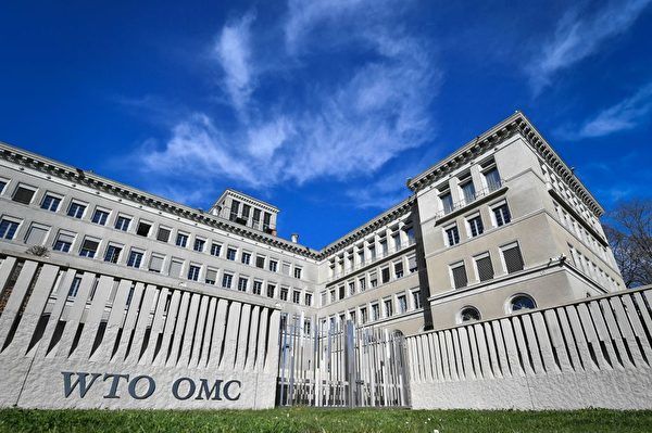 杨威：莱特西泽再度暗示可能抛弃WTO