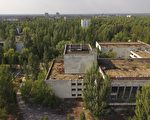 为什么植物不怕癌症？
