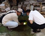 高市本土登革熱6/21增至第23例