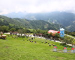 高山暑期主题活动 清境农场凉风牧情揭幕