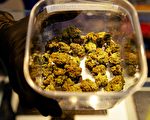 大麻合法陷膠著 州議會本期料難決議