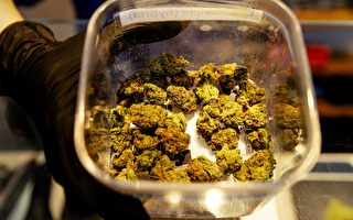 大麻合法陷胶着 州议会本期料难决议