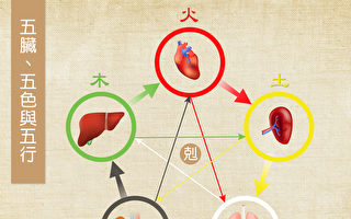 肝、心、脾、肺、腎五臟對應五色、五行。彼此有相生相剋的關係。（Shutterstock/大紀元製圖）