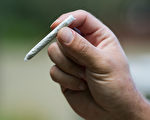 37年前大麻旧案被翻出 加男终生禁止入美