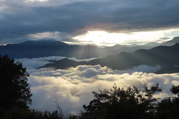 台阿里山同现日出云海云瀑摄影师 生平首见 阿里山日出 阿里山云海 阿里山云瀑 大纪元