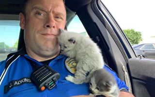 奶貓獲救立即「抱緊」警官 讓他有了新主意