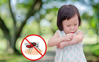 夏日来临 这十个美国城市蚊子最多