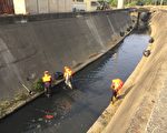 守护河川环境 嘉义市推动清净河面计划