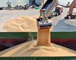 中国购买66.4万吨美大豆 7周以来最大日总量