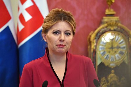 æ–¯æ´›ä¼å…‹å¥³æ€»ç»Ÿå'ä¸­å…±å¤–é•¿æå‡ºäººæƒé—®é¢˜ æ°æ™®æ‰˜å¨ƒ Zuzana Caputova çŽ‹æ¯… å¤§çºªå…ƒ