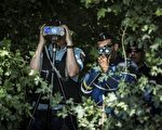 趁英國還未脫歐 法國警察猛開罰單