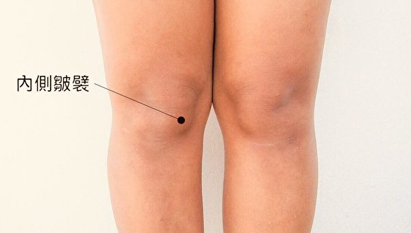 膝关节疼痛的部位，以膝关节内侧的“内侧皱襞”居多。(Shutterstock)