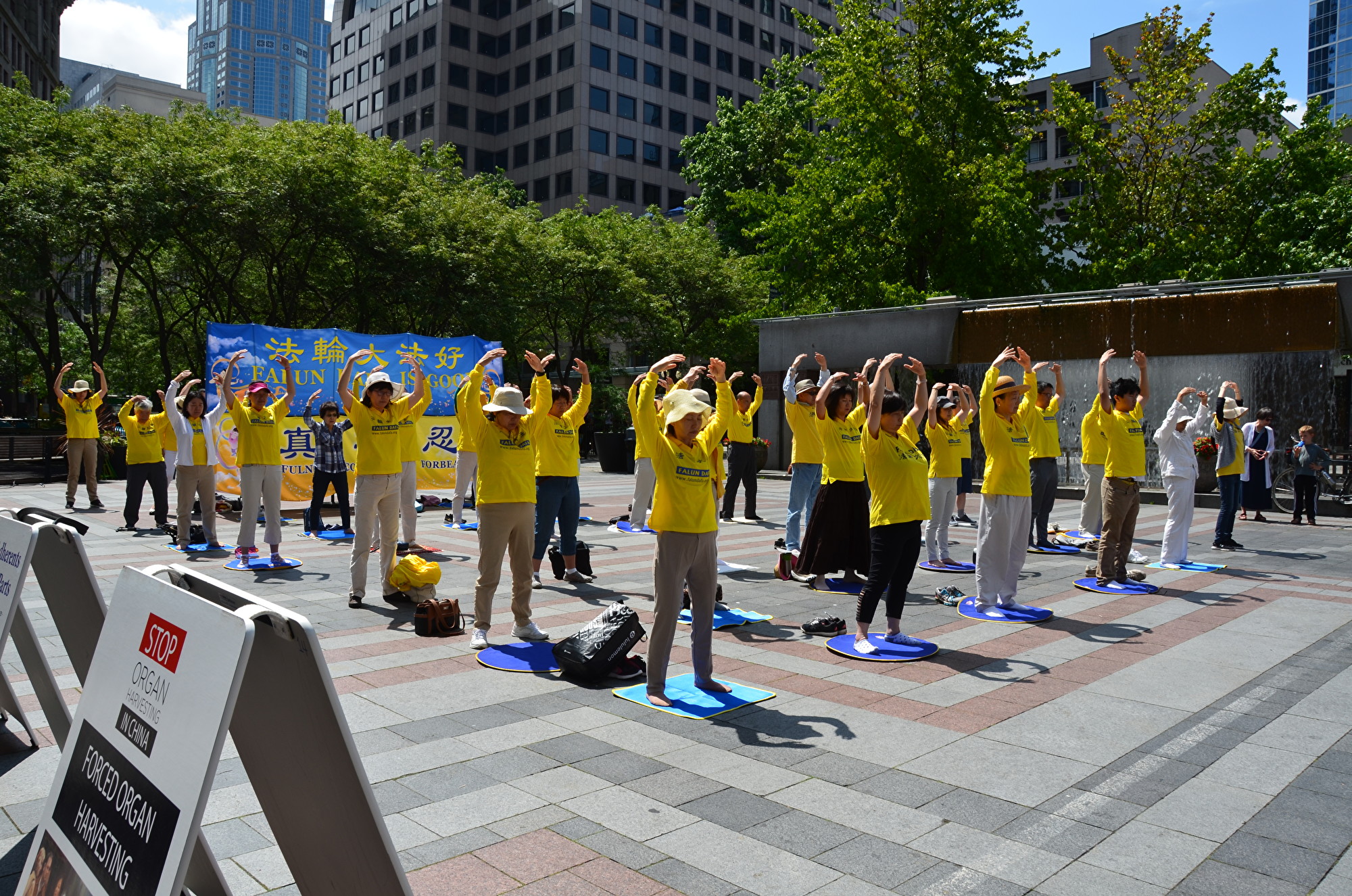 2019年7月13日,西雅圖部分法輪功學員在市中心的西湖公園舉行7‧20反迫害集會。(馬明/大紀元)