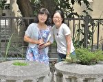 蔗車石磨子成對展示 板橋浮洲的歷史