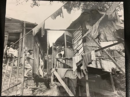 這張1961年4月2日的新聞圖片下寫道：來自紅色中國的難民們認為他們很幸運，即便他們棲息在山邊這樣的小屋中。