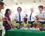 嘉大师生善尽社会责任 香草植物成果飨宴