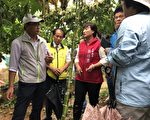 連日豪雨農損冠全台 南投列現金救助縣市