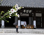 组图：首尔无穷花庆典 花之芳香呼唤历史