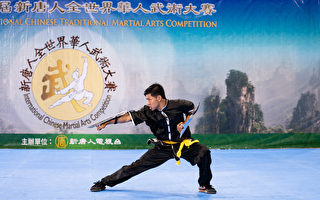 组图二：第六届新唐人武术大赛银奖得主风采