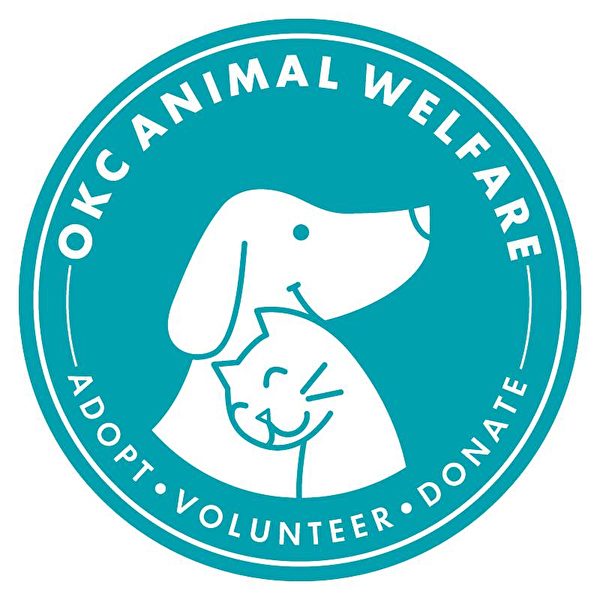 「奧克拉荷馬市動物之家」從「風暴51區」的荒謬發想中，找到了吸引潛在領養者的妙計，幫助許多收容所裡的小狗找到好人家。(Courtesy of OKC Animal Welfare)