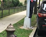 路灯“黑”了数月 寇顿责怪交通局
