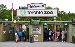 多倫多動物園慶45週年 8月15日門票打折45%