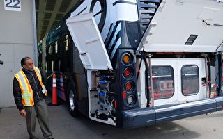 大温推电动巴士 卑水电局提供优惠费率