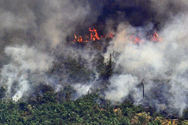 亞馬遜森林大火持續燃燒 巴西派軍隊撲救