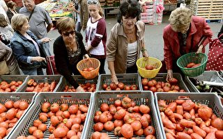 法国遭热浪袭击 蔬果价格飙升