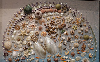 图：“陈品諠之贝壳宝石画作展览 ”即将在“台加艺廊”展出，从9月1日至12日 。(台加文化中心提供)