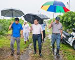 白鹿侵襲 台東農損初估逾千萬