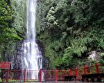 五峰旗登山步道最上層 9月重新開放
