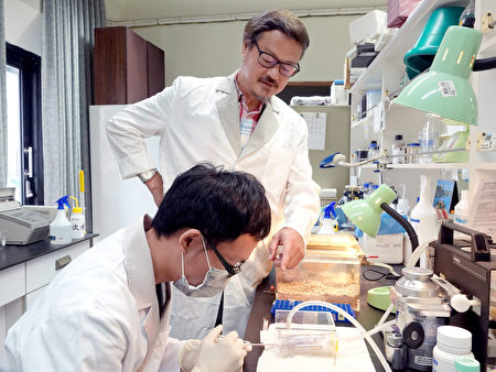國際研究重大發現  有效治療攝護腺癌