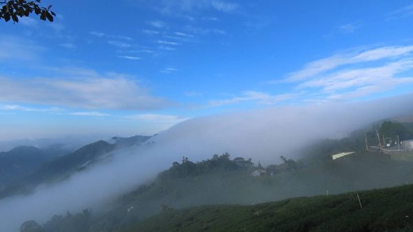 【視頻】罕見 阿里山雲海雲瀑大爆發遊客驚艷