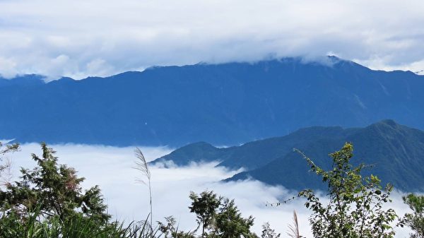 【視頻】罕見 阿里山雲海雲瀑大爆發遊客驚艷