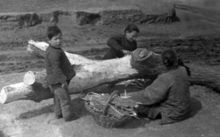 中共罪行錄：甘肅通渭縣逼糧 害死上千人