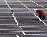 维州政府批准果园旁建太阳能电站 农民反对