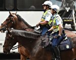 维州警方欲招更多女警 实现男女人数平等