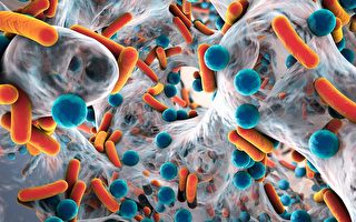 抗藥菌如何躲過藥物？新研究給出微觀解釋